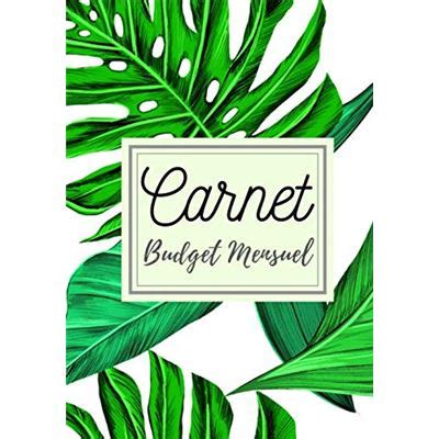 Carnet budget mensuel: Livre de compte | 7x10